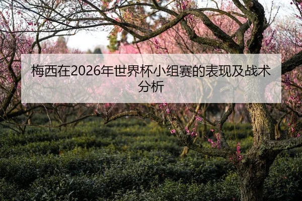 梅西在2026年世界杯小组赛的表现及战术分析